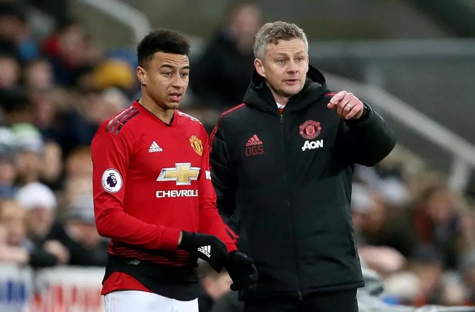 火箭队的新 火箭队的新